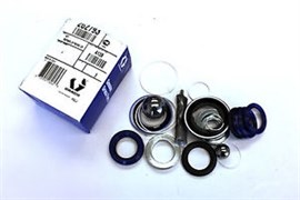 262793 РЕМНАБОР НАСОСА (XTREME 220 U-TUFF)