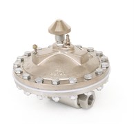220157 ГАСИТЕЛЬ ПУЛЬСАЦИЙ, 1 X 1-1/4 NPT(F), 42БАР