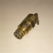 113498 ПРЕДОХРАНИТЕЛЬНЫЙ КЛАПАН, 110PSI,1/4 NPT