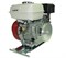 116298 ДВИГАТЕЛЬ 6.5HP - фото 135762